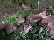 Jammu and Kashmir: Security forces bust terror hideout in Poonch, recover 5 IEDs and radio sets