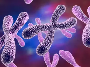 Brain ageing could be fault of Mother’s X chromosome, study suggests