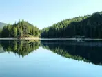 Earth’s lakes are losing oxygen at alarming rates, study finds