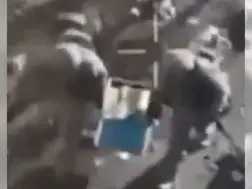 Watch | Ukrainian soldiers run out of grenades, throw beehives at Russian troops