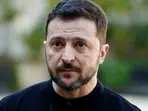 'Putin wants to divide Europe, US': Zelensky stresses Washington's stance on Russia should be stronger
