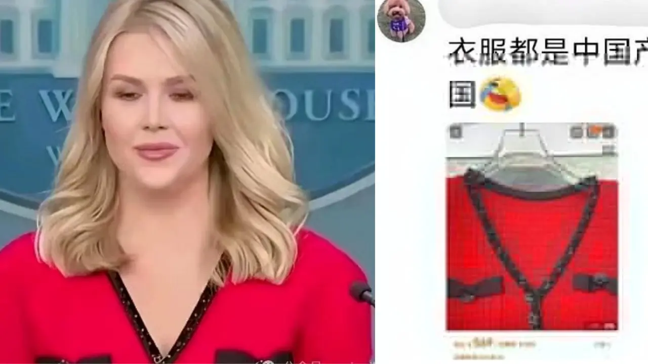 'Buying China is life': Trump's press secretary wears 'Made in China' dress, Chinese envoy claims amid raging trade war