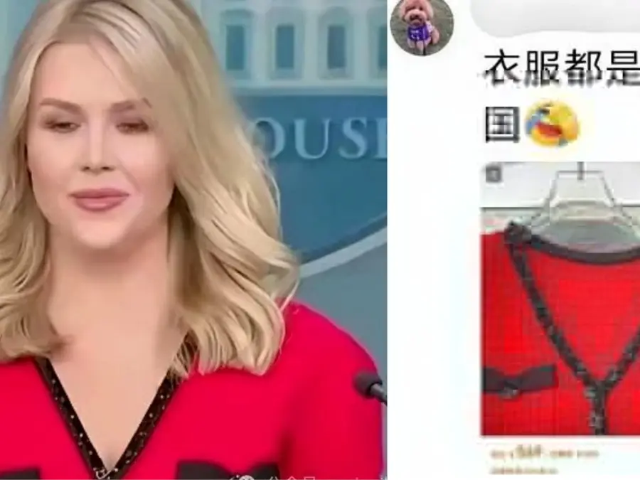 'Buying China is life': Trump's press secretary wears 'Made in China' dress, Chinese envoy claims amid raging trade war