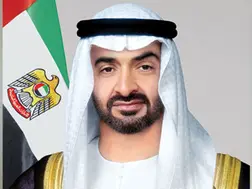 UAE president interested in collaborating with Pakistan in mining, minerals sector