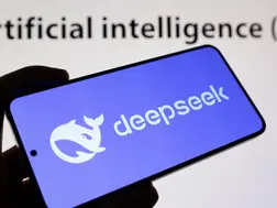 From South Korea to India, eight countries that banned use of Chinese AI DeepSeek over security concerns