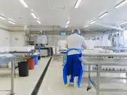 Bacteria found invading cleanroom can heal itself and survive space radiation