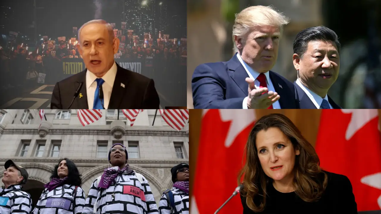Top 10 world news: Israel okays Gaza ceasefire deal; Chrystia Freeland joins race to replace Trudeau, and more