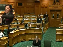 New Zealand set to suspend Maori lawmakers over protest haka