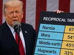 Hogwarts to Narnia all on the list: Trump tariff initiates meme fest