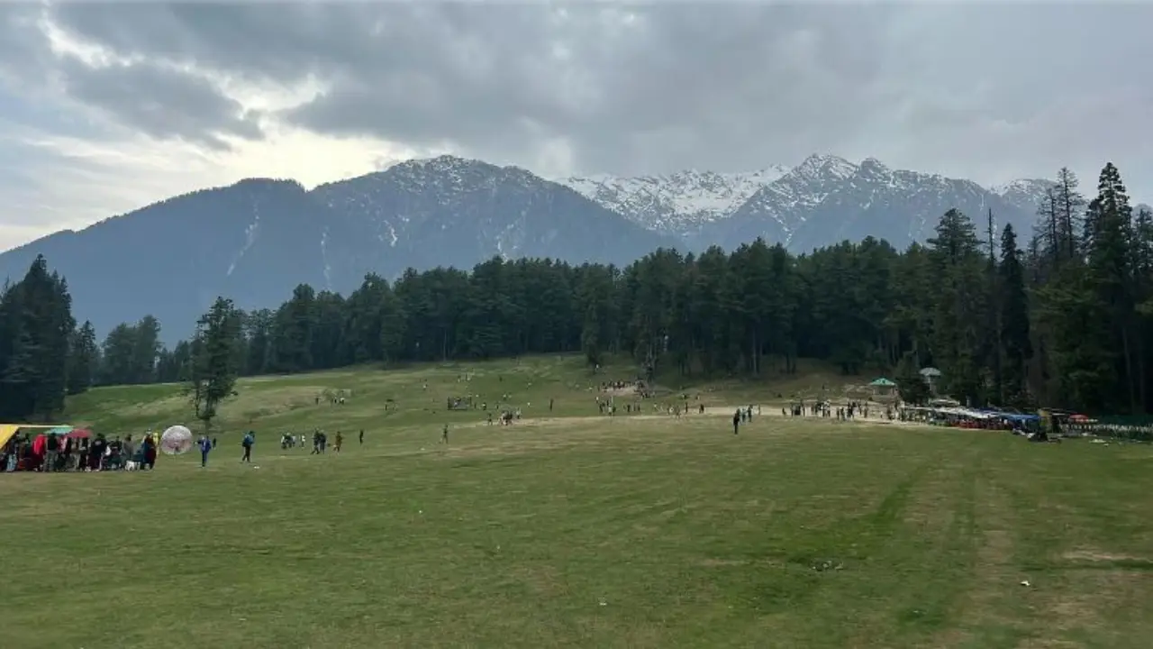 Pahalgam attack: Pony service provider detained after woman tourist claims he inquired about her religion