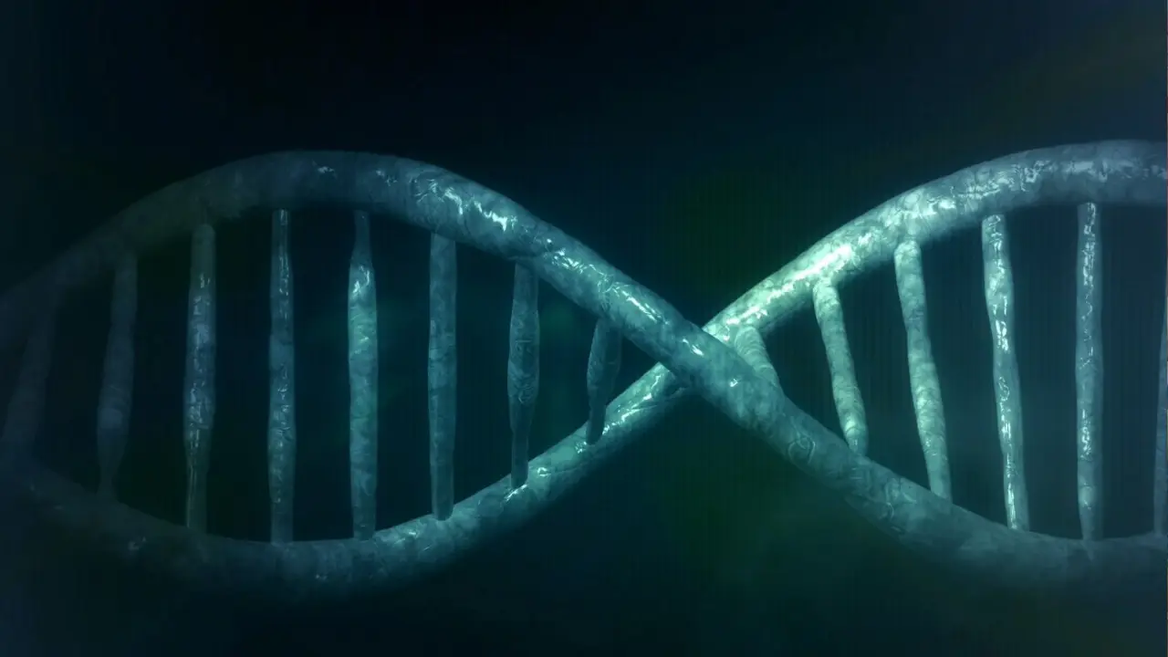 Iron Age men used to join wive's families, says latest DNA study