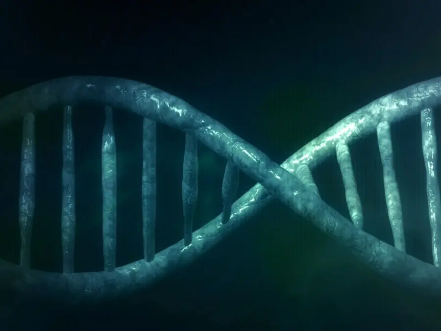 Iron Age men used to join wive's families, says latest DNA study