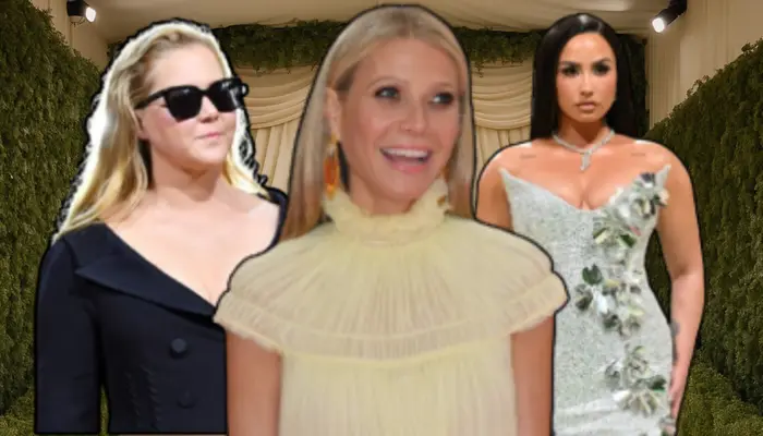 Wierd, un-fun and jerk parade': Celebrities who regretted attending Met Gala and shared their terrible experiences