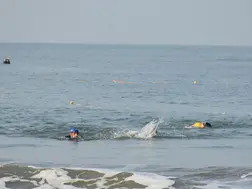 Over 200 swimmers gather for Den Den 2025 Sea Swimming Championship