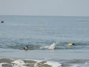 Over 200 swimmers gather for Den Den 2025 Sea Swimming Championship