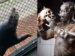 'Human Satan' Michel Diabão takes body modifications to the next level, chops off fingers to create claws
