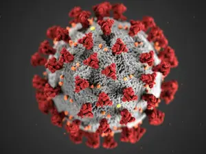 Norovirus has gripped UK. Will it reach other countries?