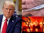 Trump blames 'worthless fish' for California wildfires. Is the endangered 'Delta smelt' really to blame for LA fires?