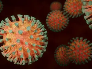Is Covid back? Should you even be worried about Kolkata's case of human coronavirus HKU1? Experts answer