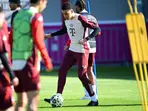 Champions League: 'No holding back', say Bayern before Leverkusen showdown