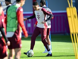 Champions League: 'No holding back', say Bayern before Leverkusen showdown