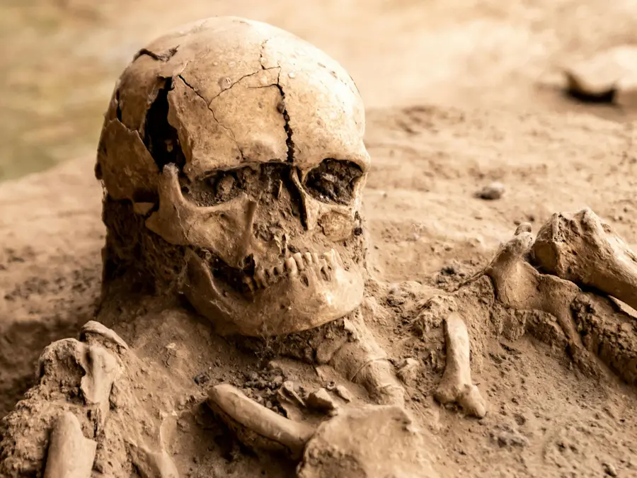 'Blood Cave' in Guatemala proves Mayans brutally killed their own people once a year