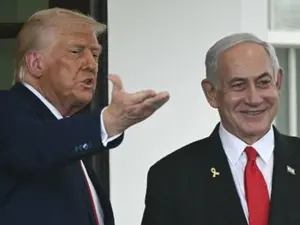 'Move them around to different countries': Trump's plans for Palestinians in Gaza; says Israel working on new hostage deal