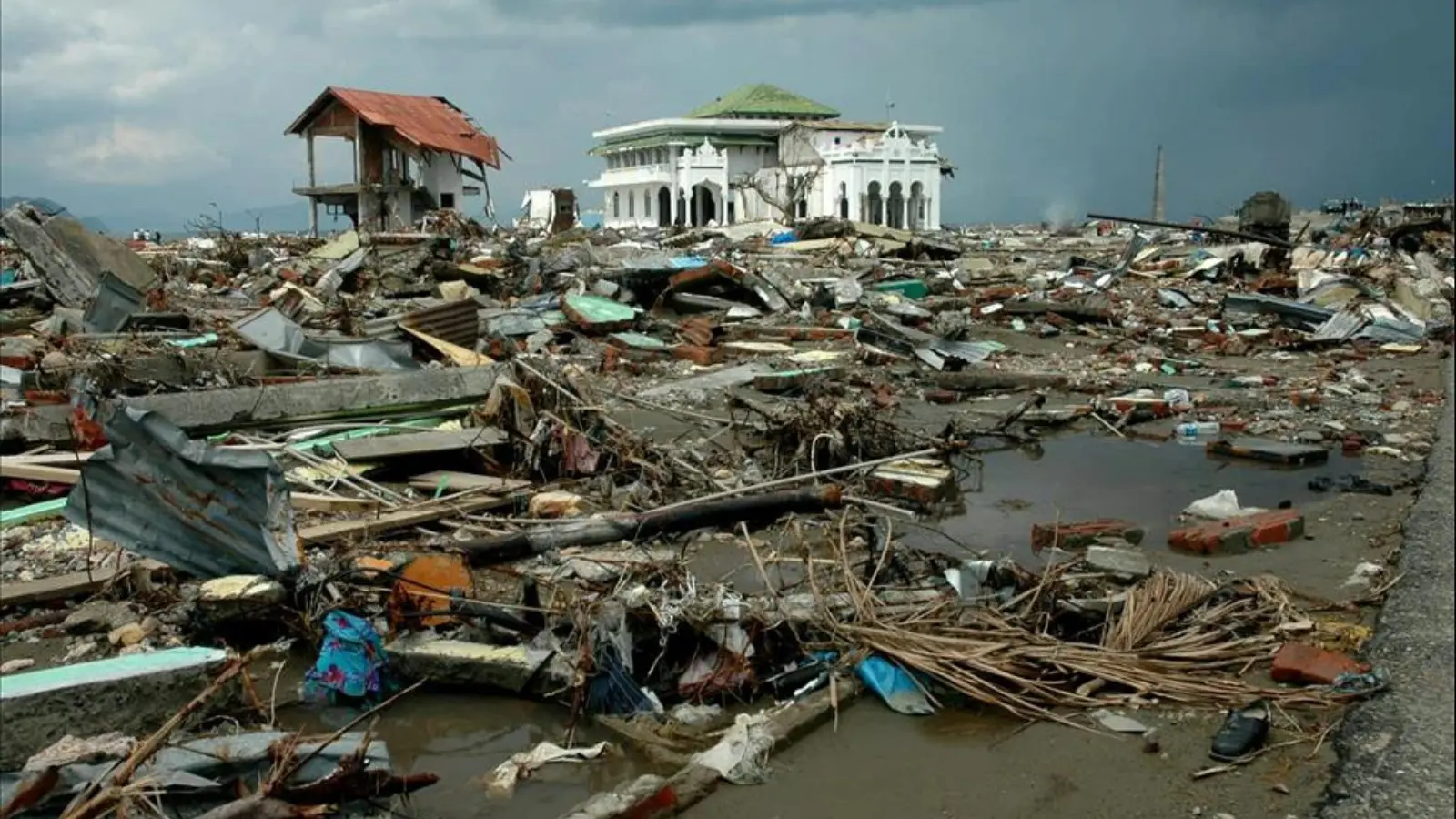 Indian Ocean Earthquake and Tsunami