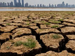 Year 2024 saw devastating impact of supercharged climate disasters