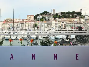 Richard Gere, Susan Sarandon and 350 other Hollywood stars condemn Gaza 'genocide' on eve of Cannes Festival 2025