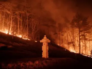 VIDEO: South Korea's raging wildfires kill at least 18, destroy 1,300-year-old temple