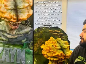 Zayn Malik celebrates 32nd birthday with a CRAZY Last Of Us-themed cake