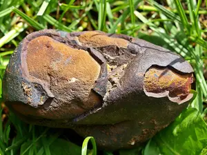 Meteoric iron present in early Iron Age ornaments in Poland: Study