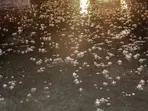 'Holika Dahan' celebrations affected as hailstorm and rain hits parts of Delhi-NCR