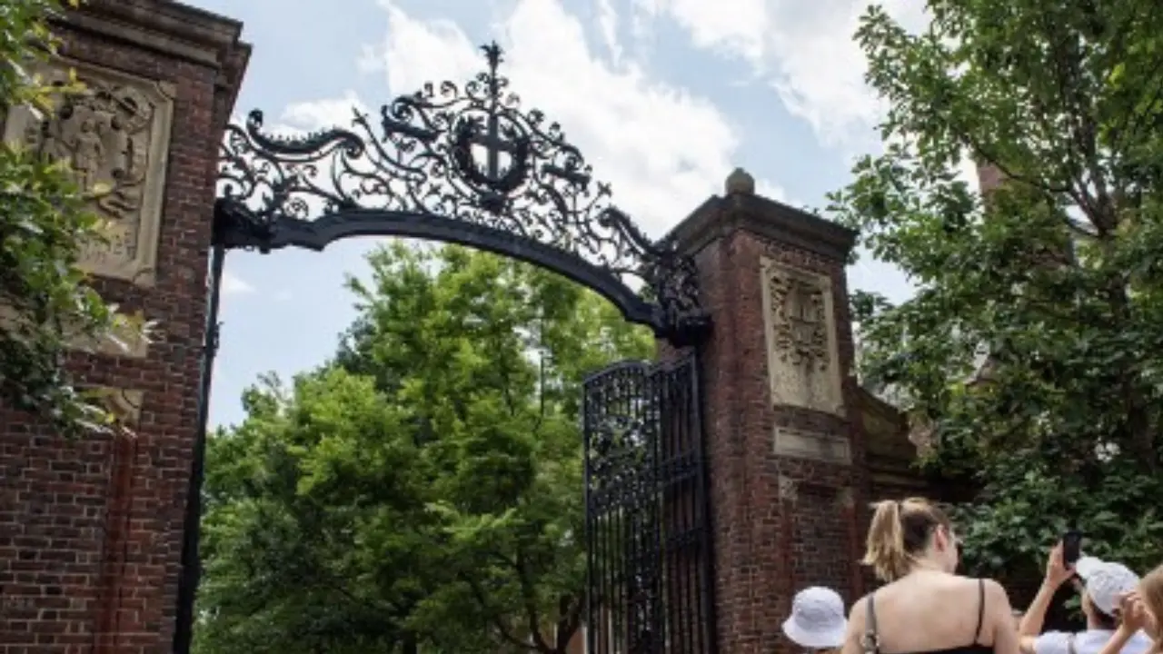 Harvard sues Trump administration over US federal funding cuts, calling actions 'arbitrary' and 'capricious'