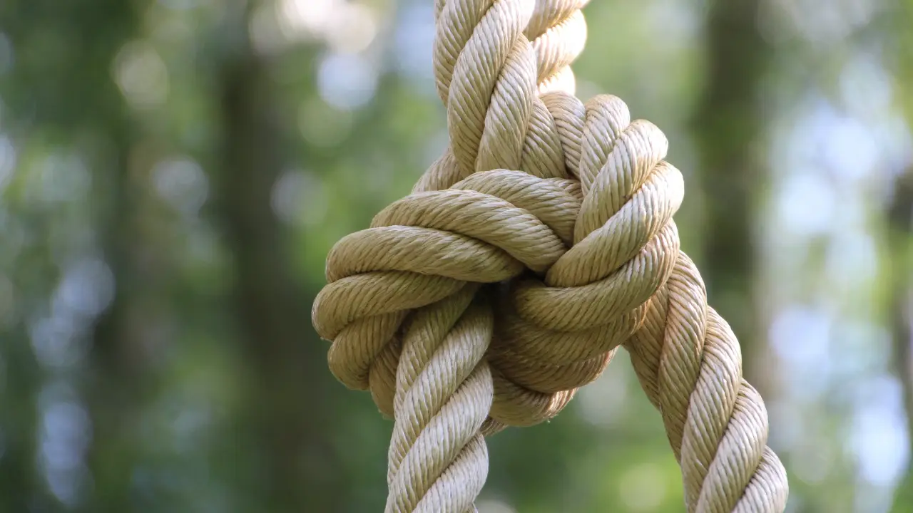 Brutal murder or BDSM gone wrong? Man nabbed for wife's murder, claims she died during bondage sex