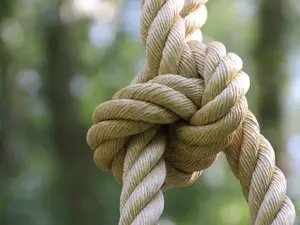 Brutal murder or BDSM gone wrong? Man nabbed for wife's murder, claims she died during bondage sex