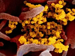HMPV outbreak in China? Amid ambiguity, know symptoms and precautions