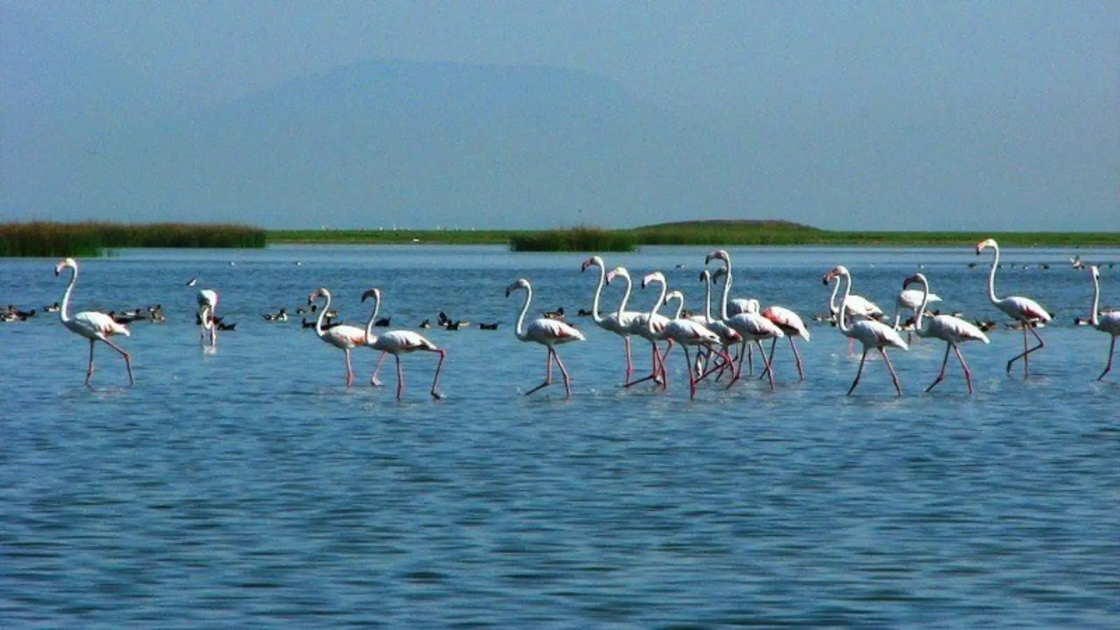 Chilika Lake
