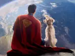 DC boss James Gunn reveals big updates about DC Universe: 10 key takeaways