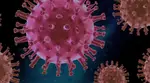 Why do COVID vaccines cause chronic issues for some? Here’s what researchers say