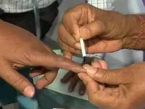 Delhi polls: What’s open, what’s closed on February 5 as national capital declares public holiday