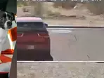 Video: Owner leaves malnourished puppy in Arizona desert and drives away