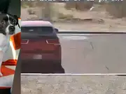 Video: Owner leaves malnourished puppy in Arizona desert and drives away