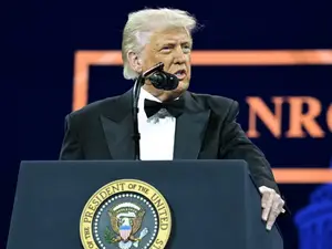Trump mocks world leaders, claims 'countries are calling us up, kissing my a**,' to negotiate tariffs
