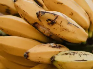 7 Reasons Why Bananas Are the Ultimate Superfruit