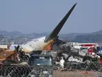 South Korea to mandate bird detection systems at airports following Jeju Air crash. Here's why
