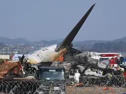 South Korea to mandate bird detection systems at airports following Jeju Air crash. Here's why