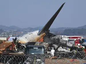 South Korea to mandate bird detection systems at airports following Jeju Air crash. Here's why