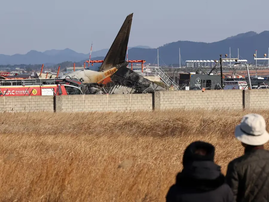 'My last words,’ passenger’s heartbreaking text just before S Korea plane crash